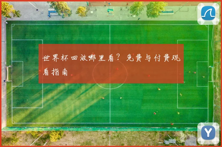 世界杯回放哪里看？免费与付费观看指南